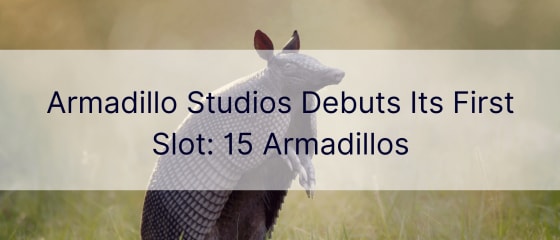 Armadillo Studios stellt seinen ersten Spielautomat vor: 15 Armadillos